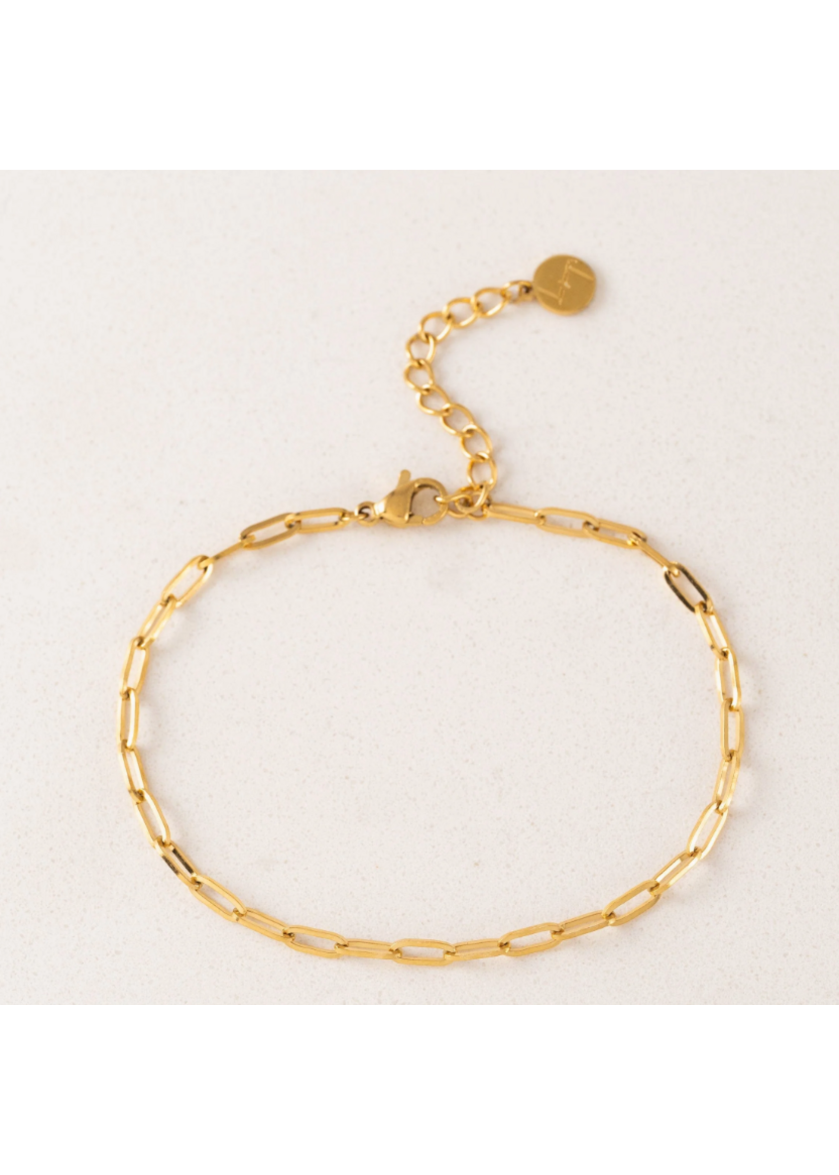 Lover's Tempo Paperclip Chain Bracelet - 18K Gold/Stainless PVD, Waterproof, Tarnishproof