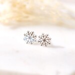 Glee Frost Stud Earrings - Silver