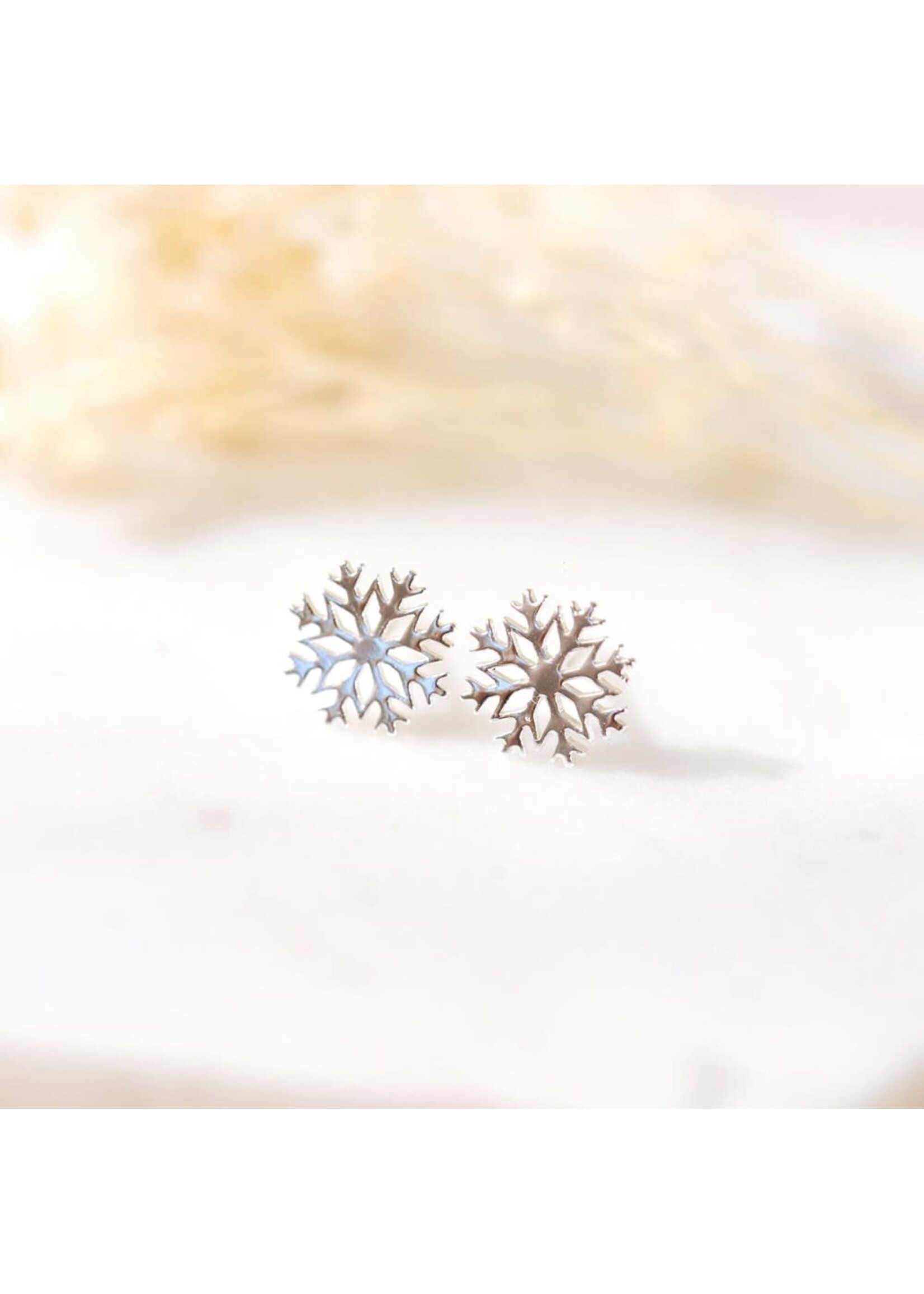 Glee Frost Stud Earrings - Silver