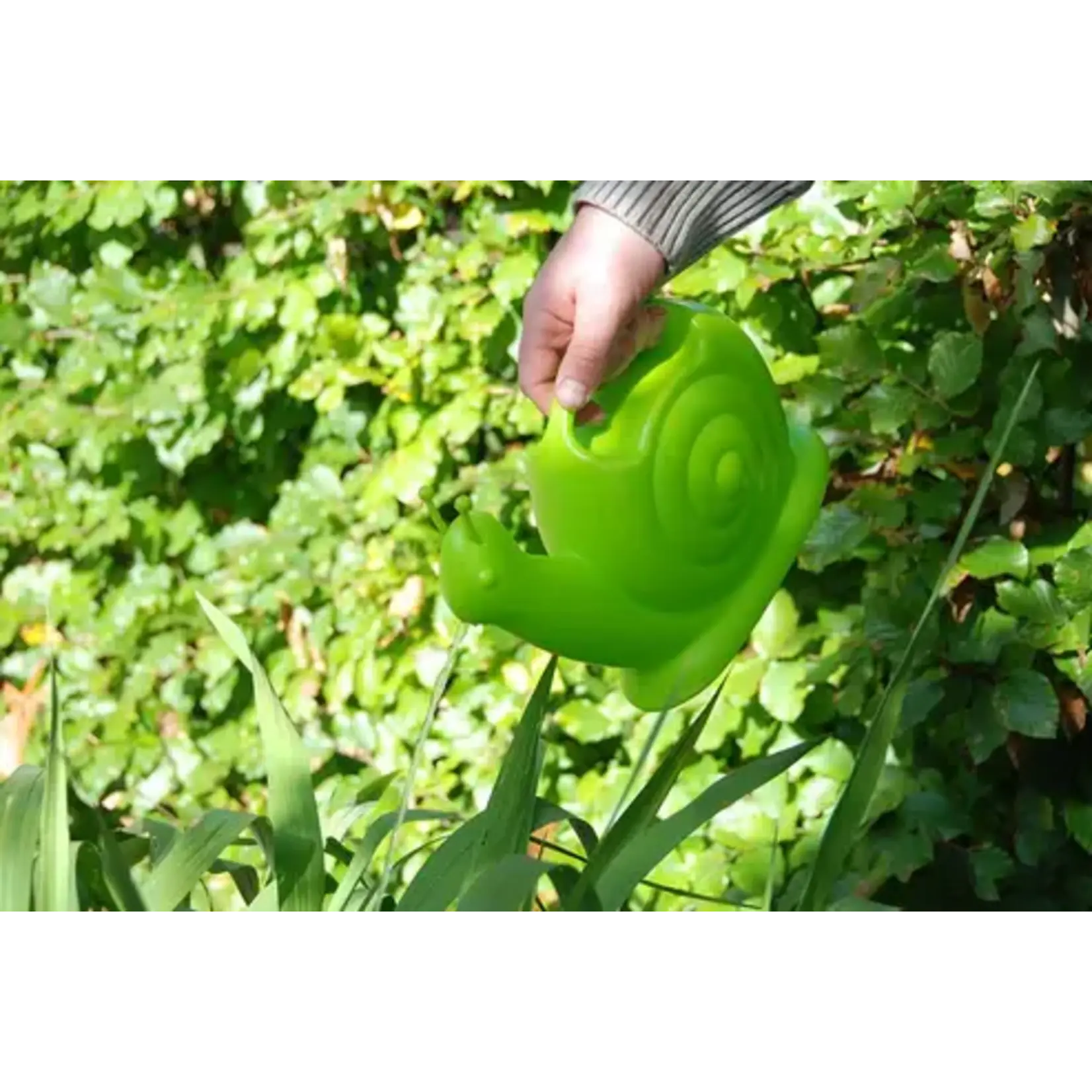 Snail Watering Can