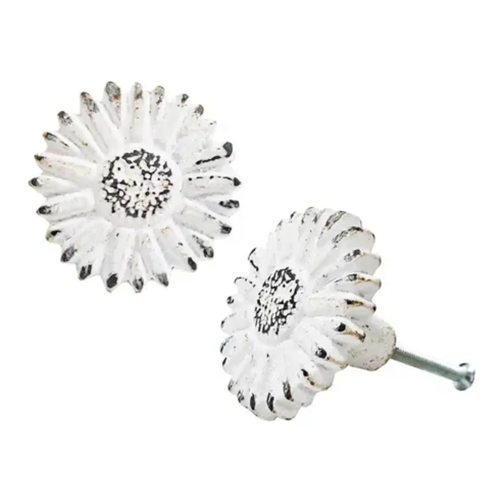 Distressed White Sunflower Drawer Knob