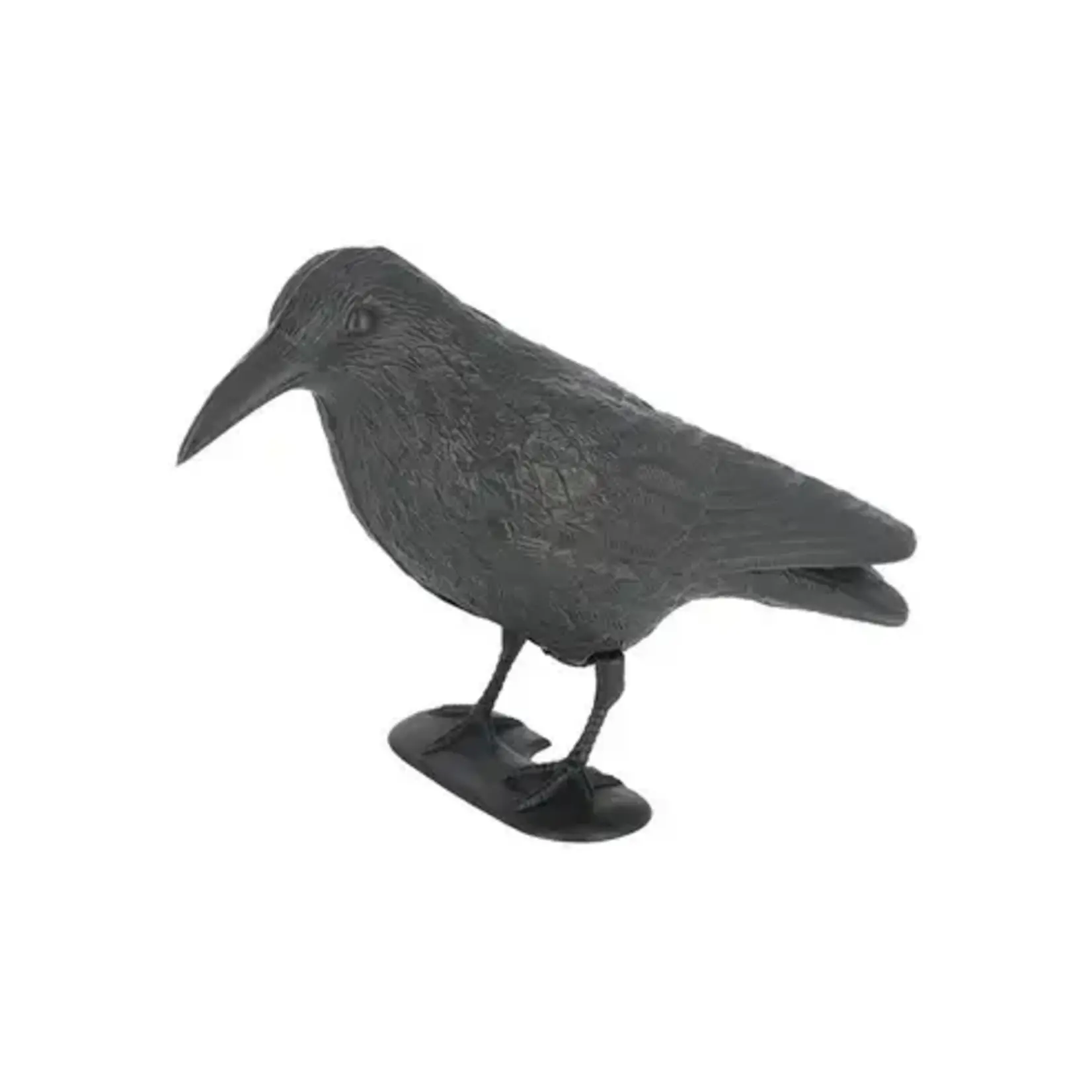 Pigeon Scarer