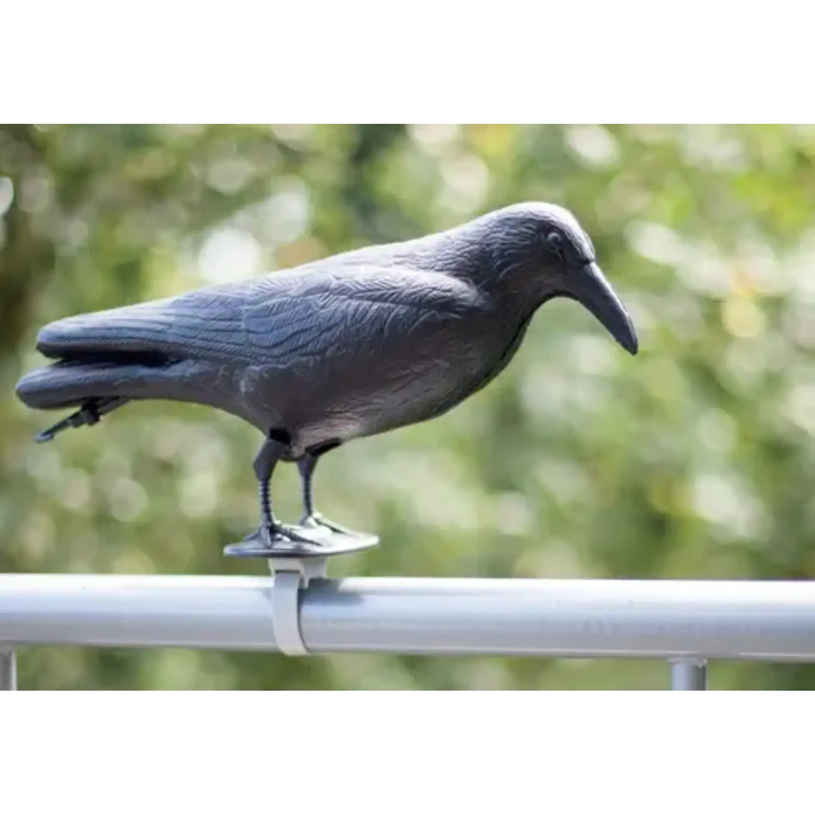 Pigeon Scarer