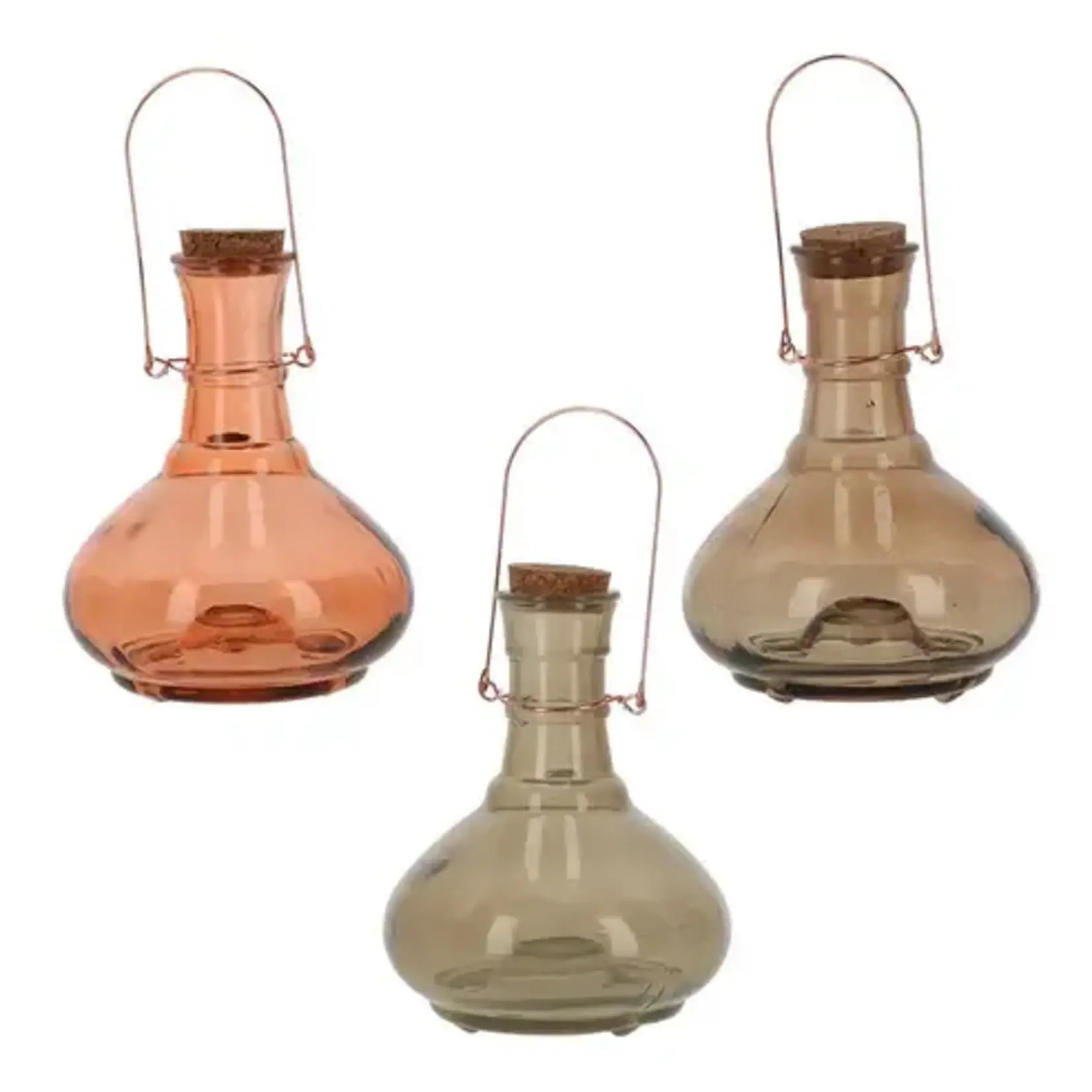 Glass Wasp Trap (Assorted)