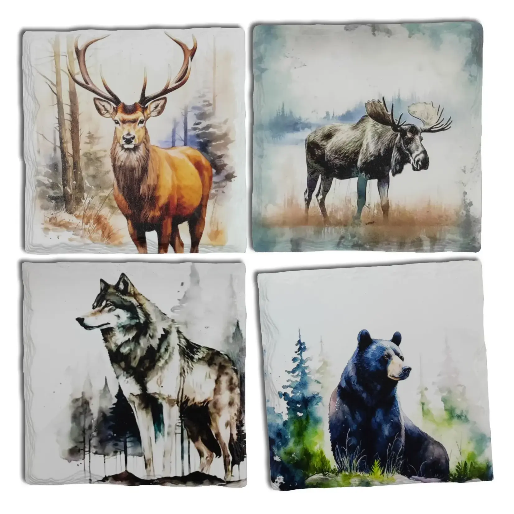 Panam Décor & Gifts Wild Animals Coasters (Set of 4)