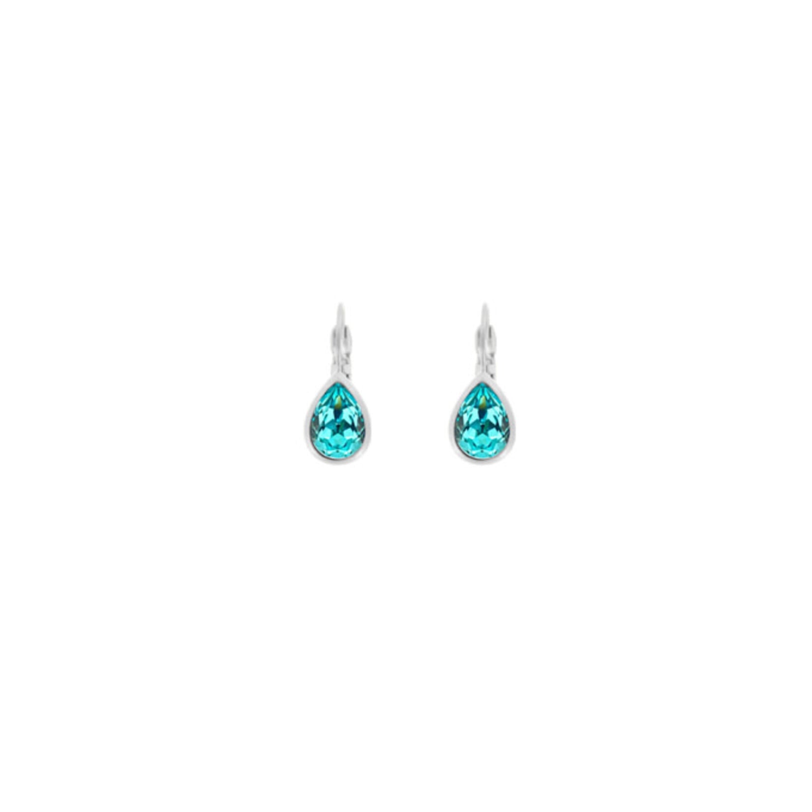 Myka Nina Extra-Small Swaraovksi Crystal Teardrop Euroback Earrings - Bright Rhodium