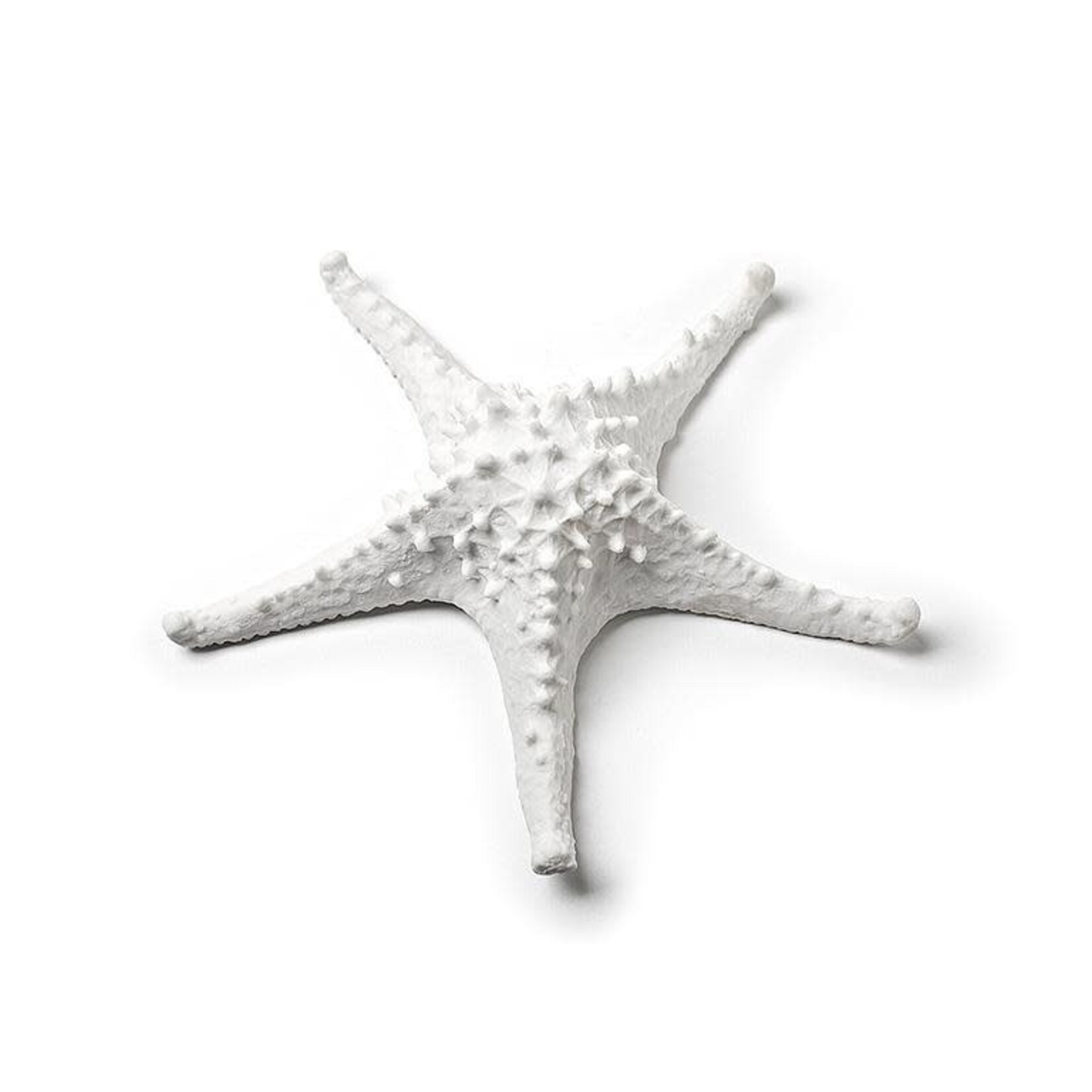 Medium White Decorative Starfish 7.5"