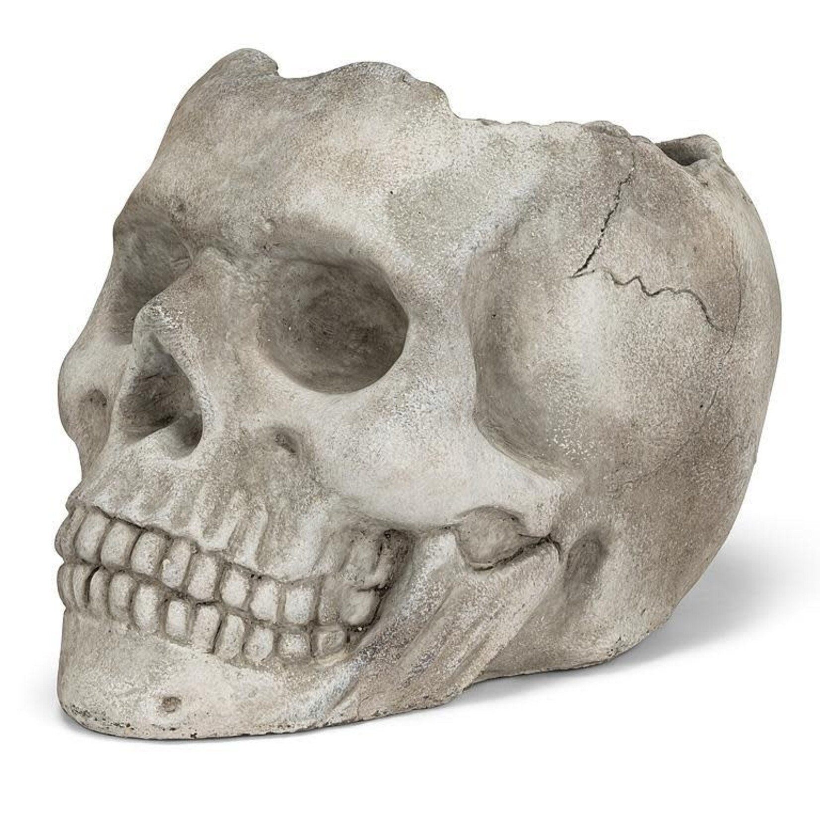 Extra Large Skull Planter 10"
