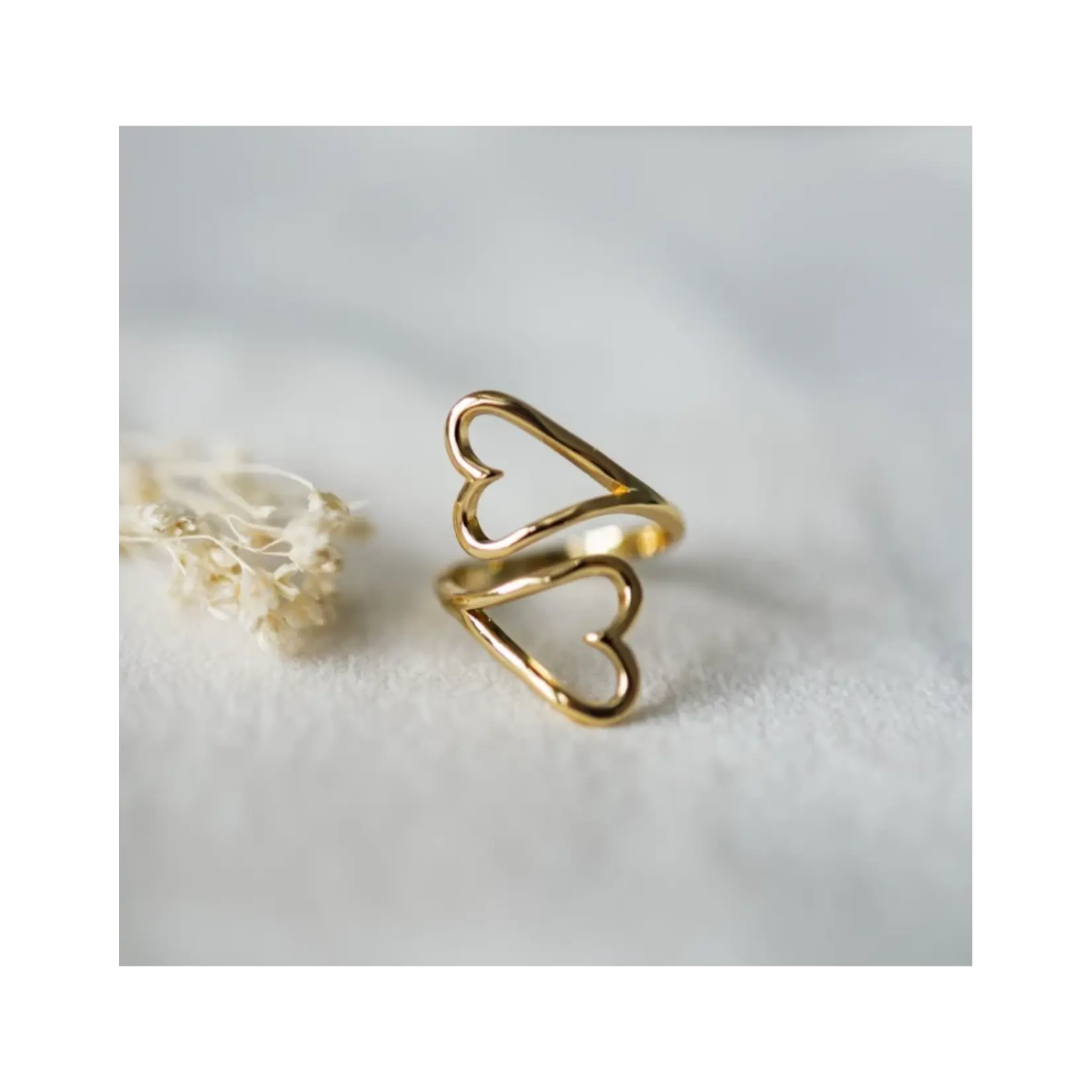 Glee HEARTBOUND RING