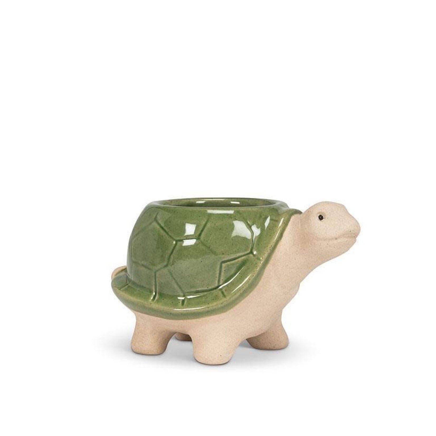 SMALL TURTLE PLANTER GREEN 3.5"