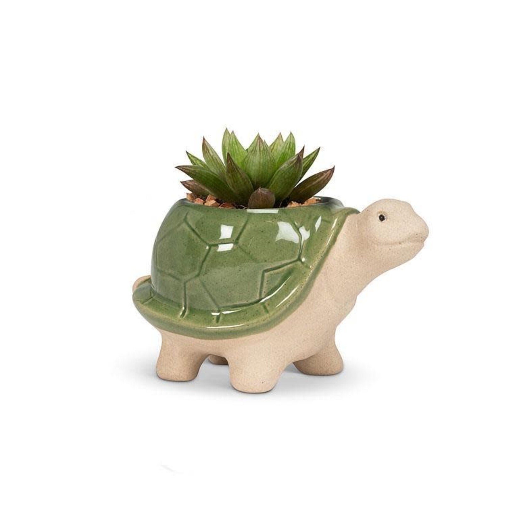 SMALL TURTLE PLANTER GREEN 3.5"