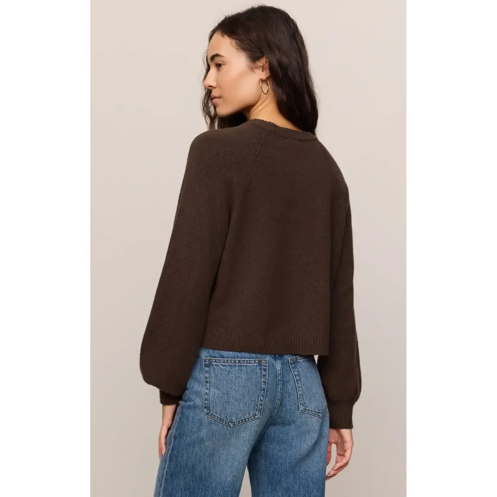 Z Supply Coming Up Sweater