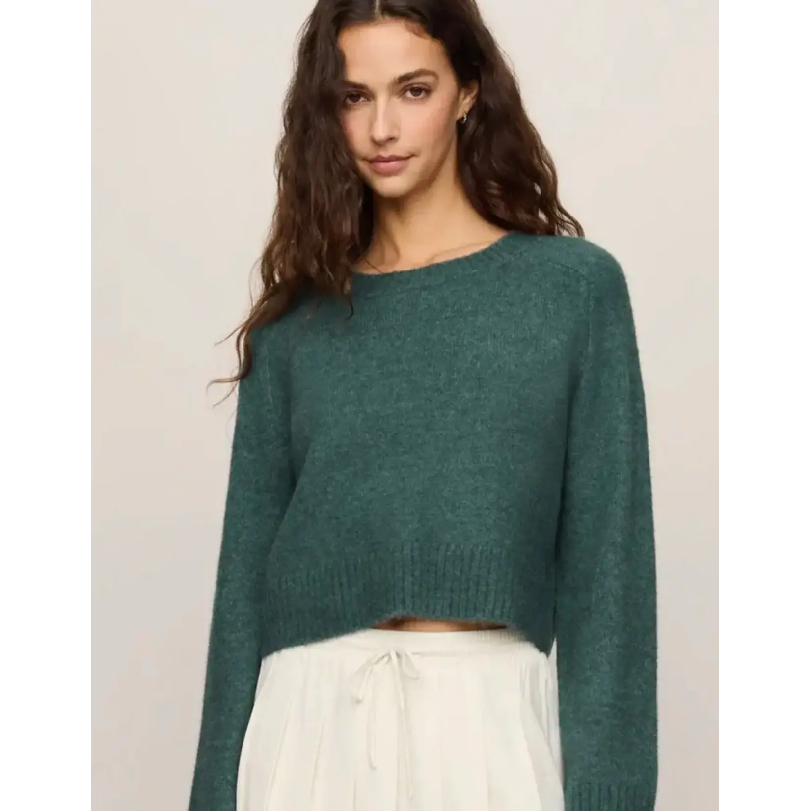 Z Supply Stand In Sweater