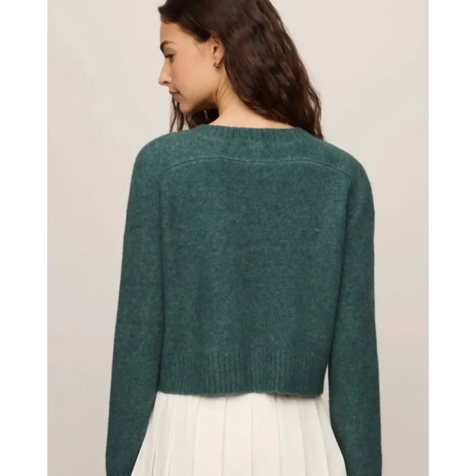 Z Supply Stand In Sweater