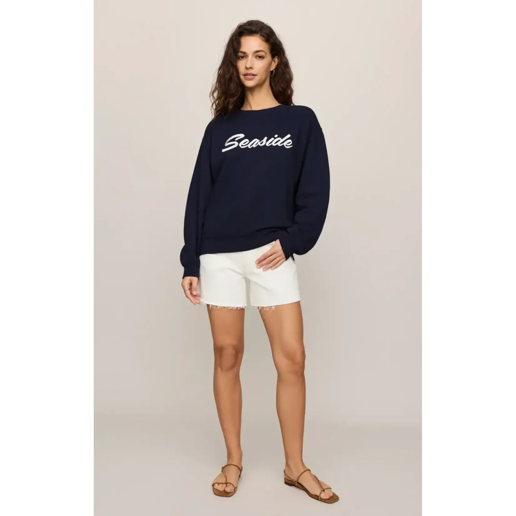 Z Supply Seaside Boyfriend Sweatshirt