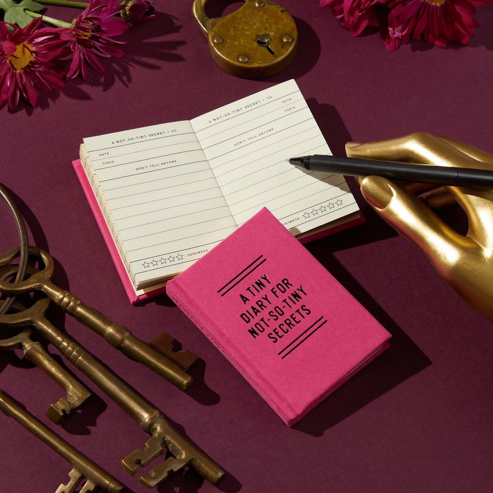 A Tiny Diary for Not So Tiny Secrets