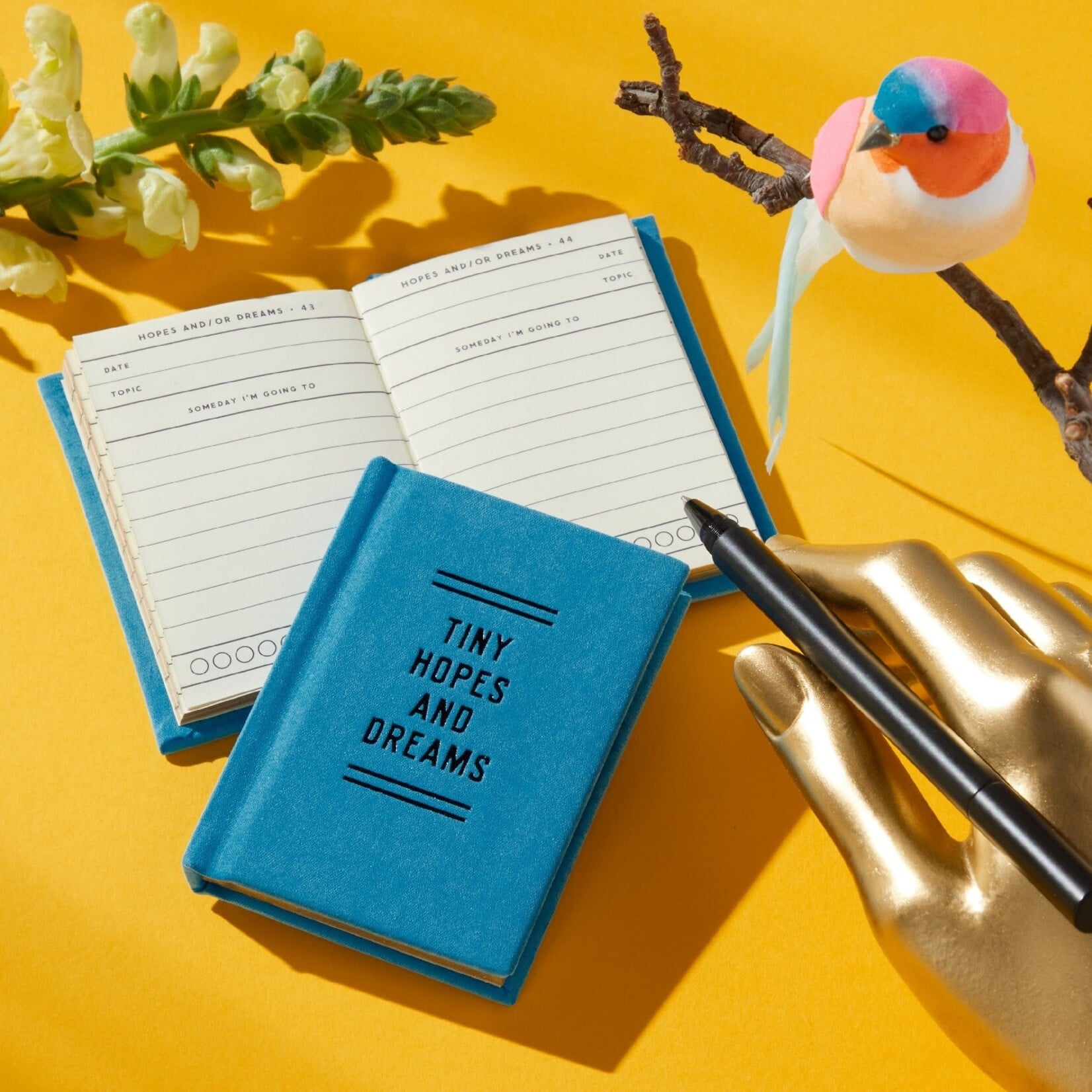 Tiny Hopes and Dreams Mini Diary