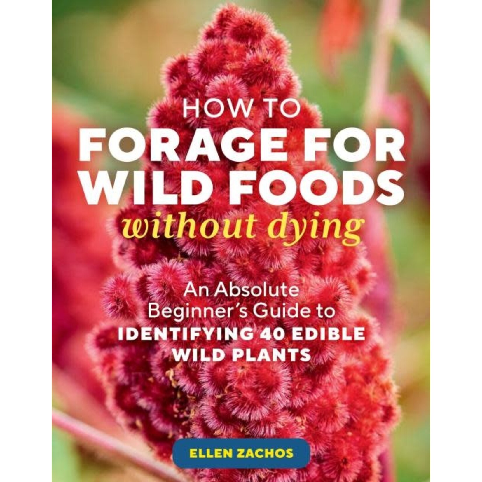 How to Forage for Wild Foods Without Dying