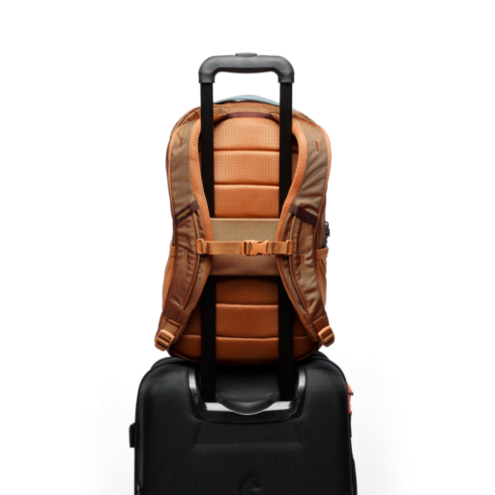 Cotopaxi Allpa Del Día 18L Daypack