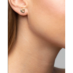 Mimi & Marge Paw Print Stud Earrings - 24K Gold Vermeil