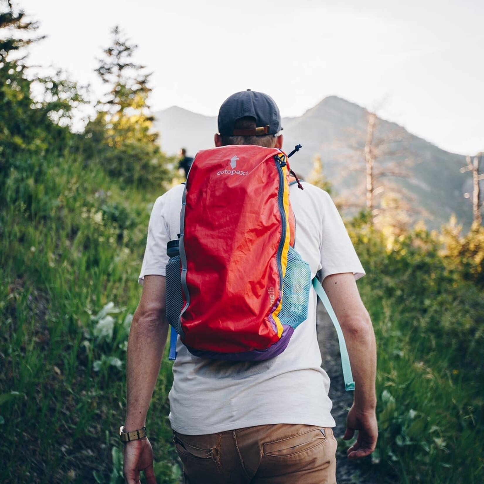 Cotopaxi Batac Del Día 16 L Backpack