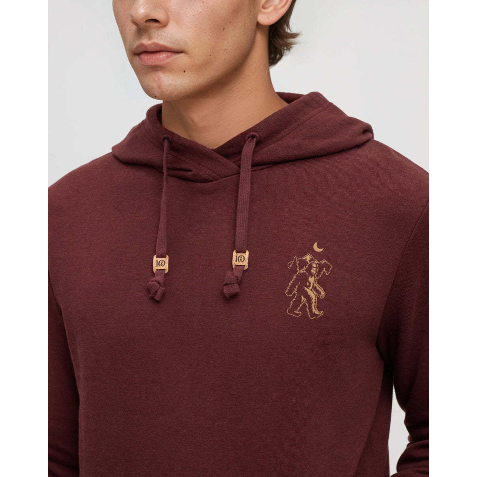 Tentree TCM6670-6436 - Men's Sasquatch Sighting Hoodie