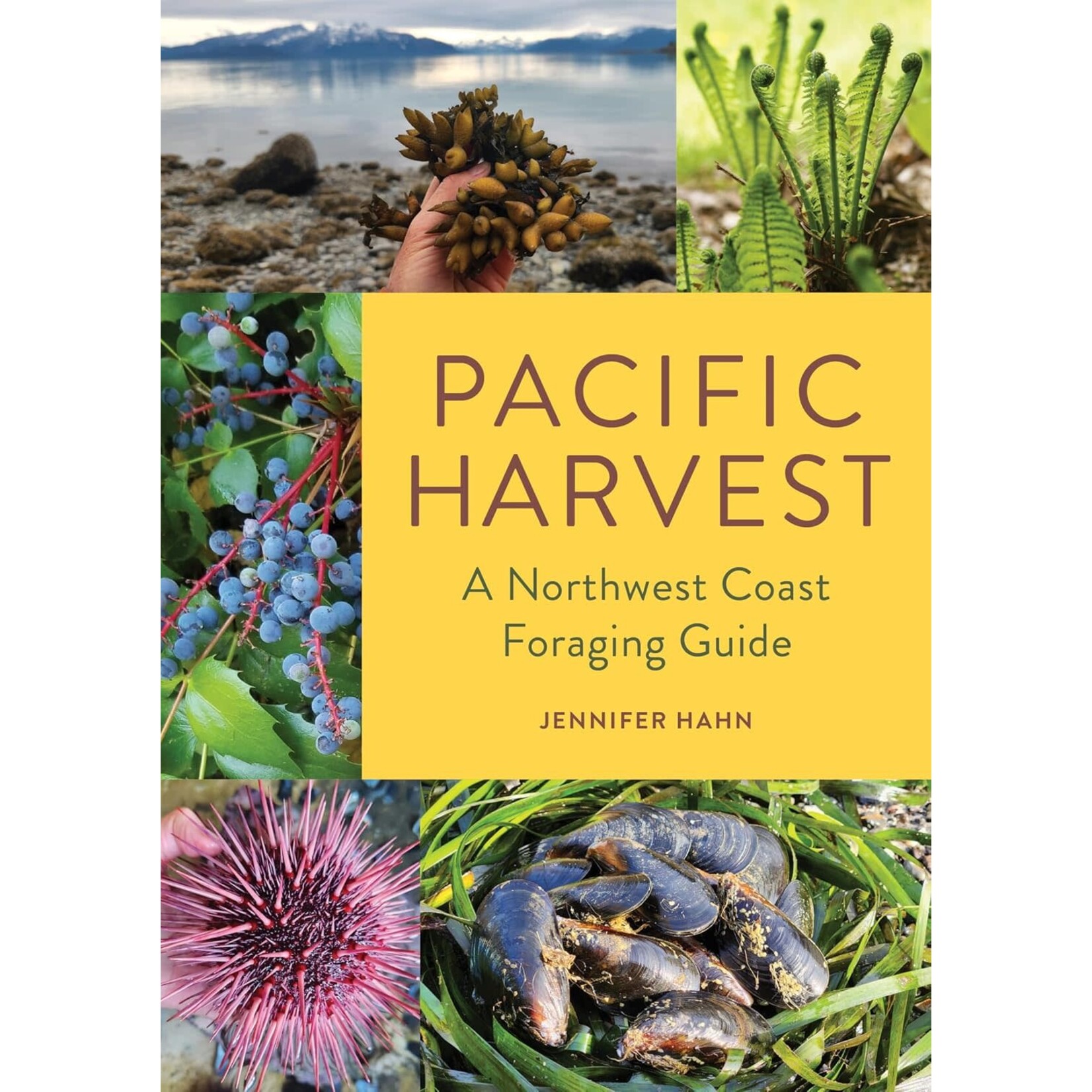 Pacific Harvest: Northwest Coast Foraging Guide