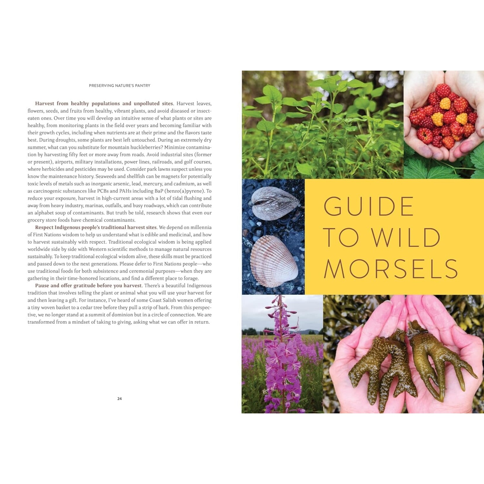 Pacific Harvest: Northwest Coast Foraging Guide