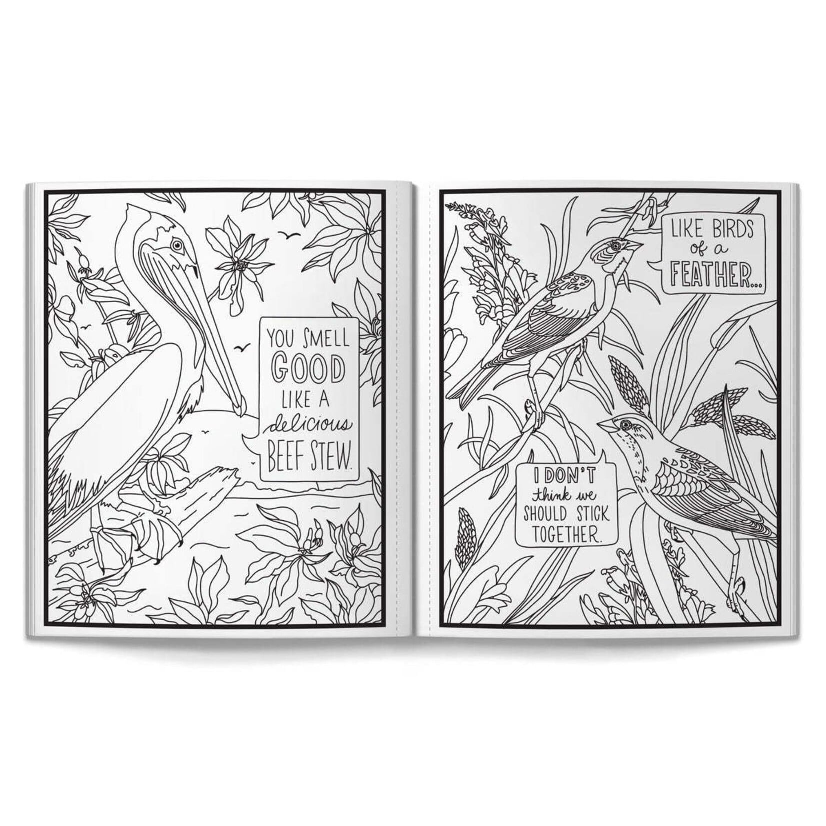 Salty Birds Coloring Book