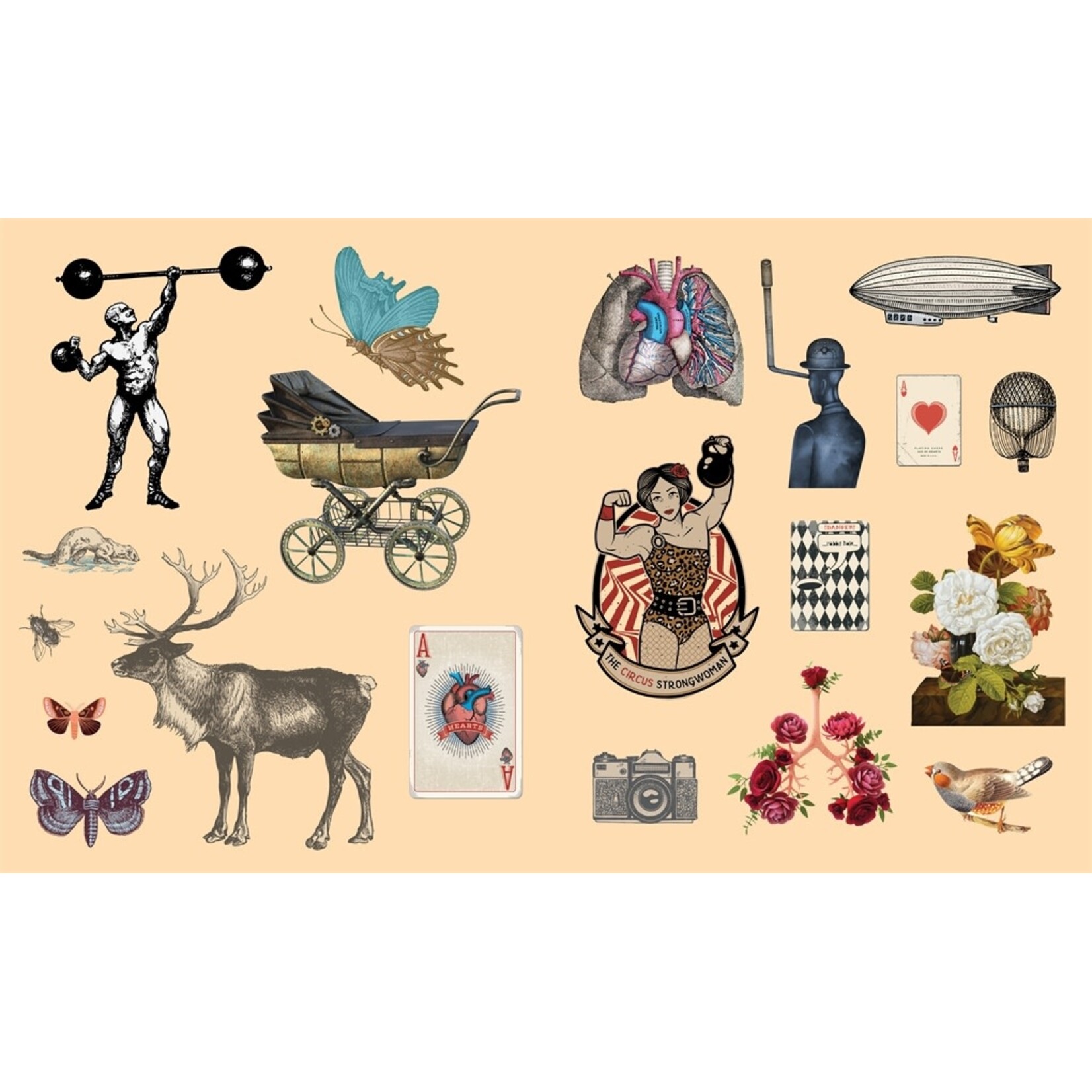Sticker Studio: Arcana Sticker Book