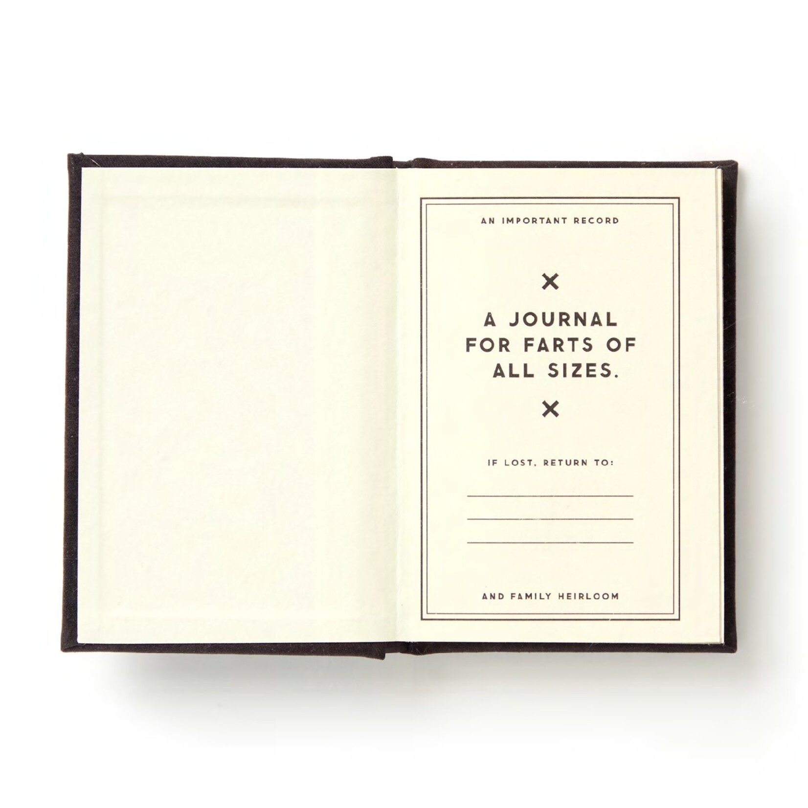 A Tiny Fart Diary