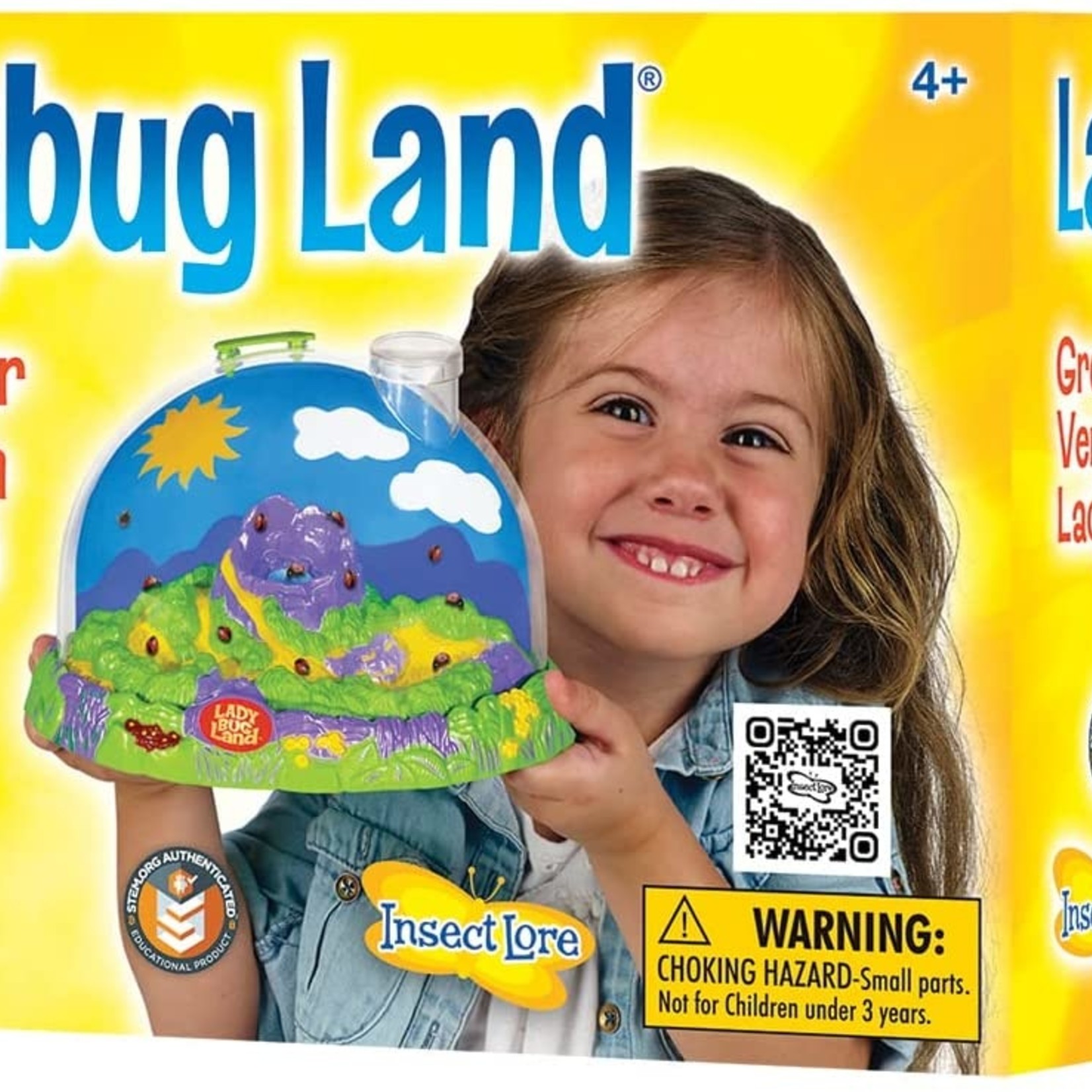Ladybug Land