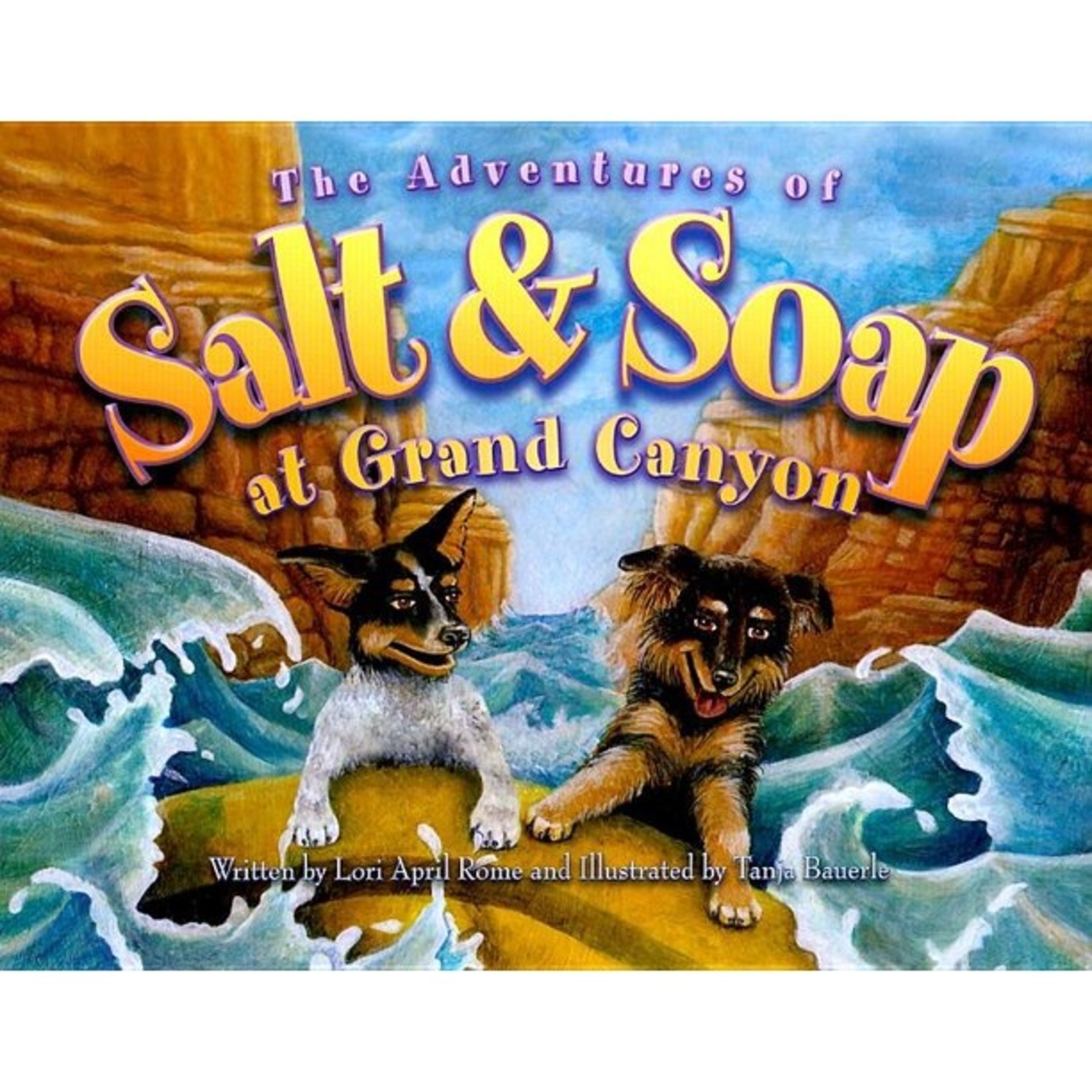 The Adventures Of Salt And Soap