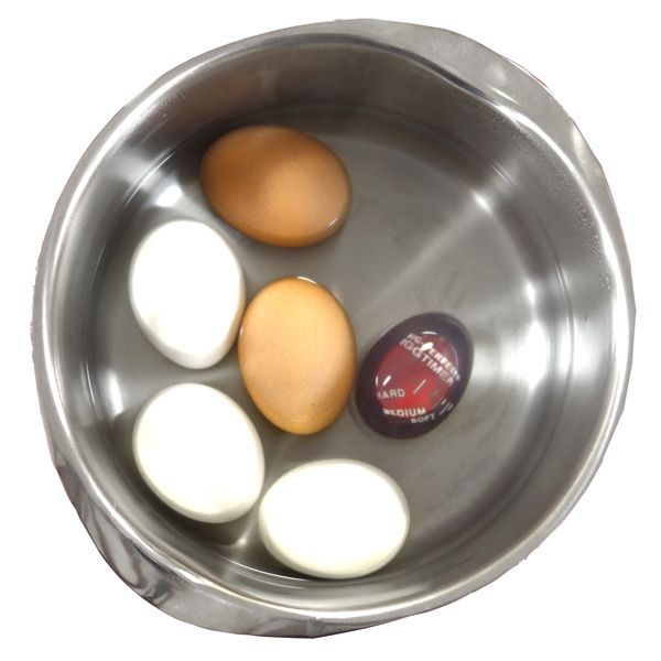 Norpro Timer Egg Color Changing