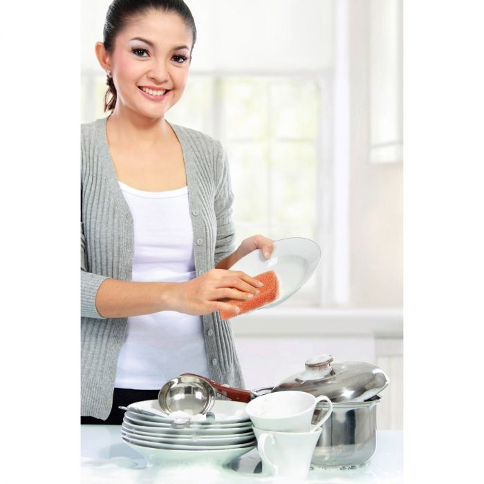 Harold Import Co Peachy Clean Dish Scrubber