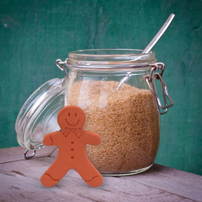 Harold Import Co Brown Sugar Gingerbread Girl