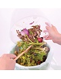 Harold Import Co Compost Trash Bag 50ct