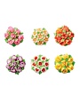 Harold Import Co Russian Decorating Tips 6pc
