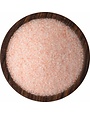 Saltworks Himalayan Pink Sea Salt 16oz