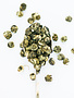 Summit Tea Jasmine Pearl Tea 2oz