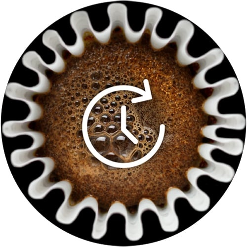 Breville USA The Breville Precision Brewer Thermal