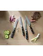 Wusthof Steak Knife Set 4pc Classic