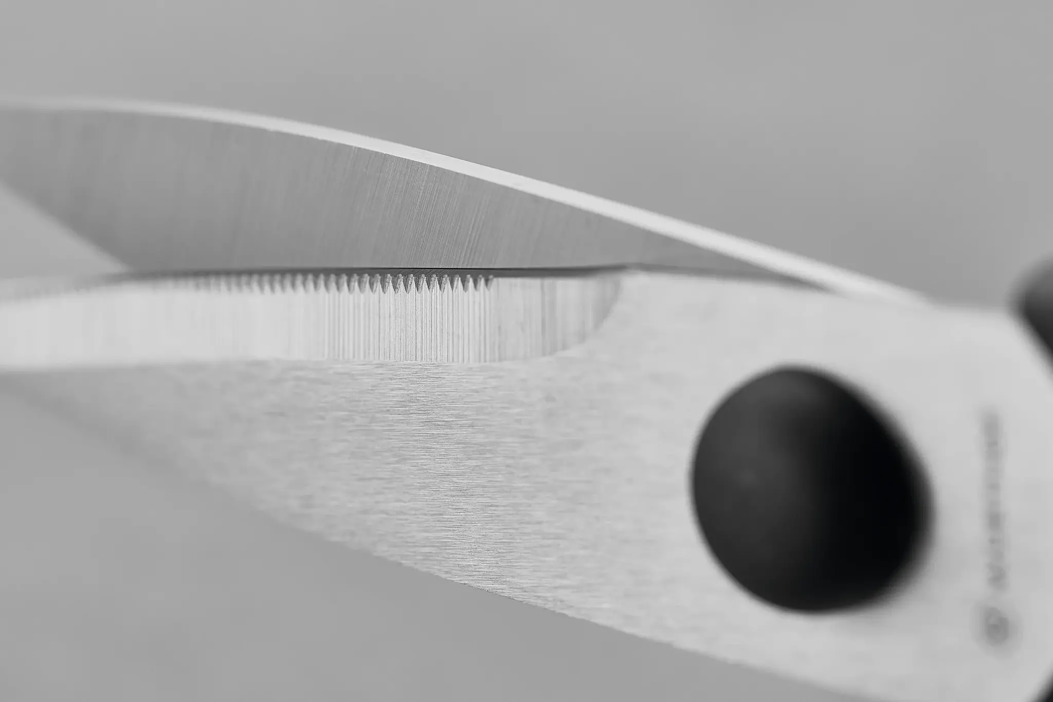 Wusthof Shears Black Come Apart
