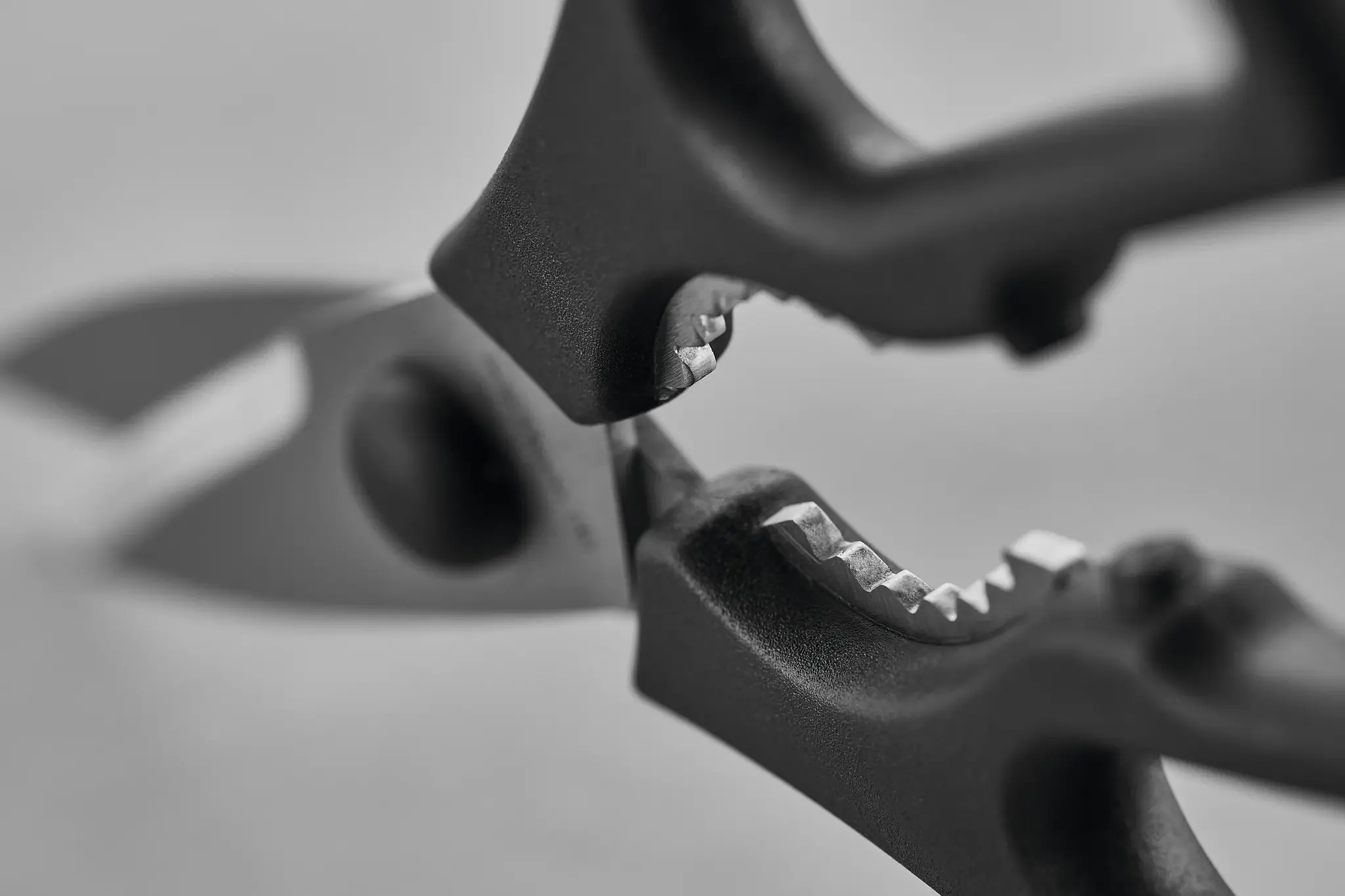Wusthof Shears Black Come Apart