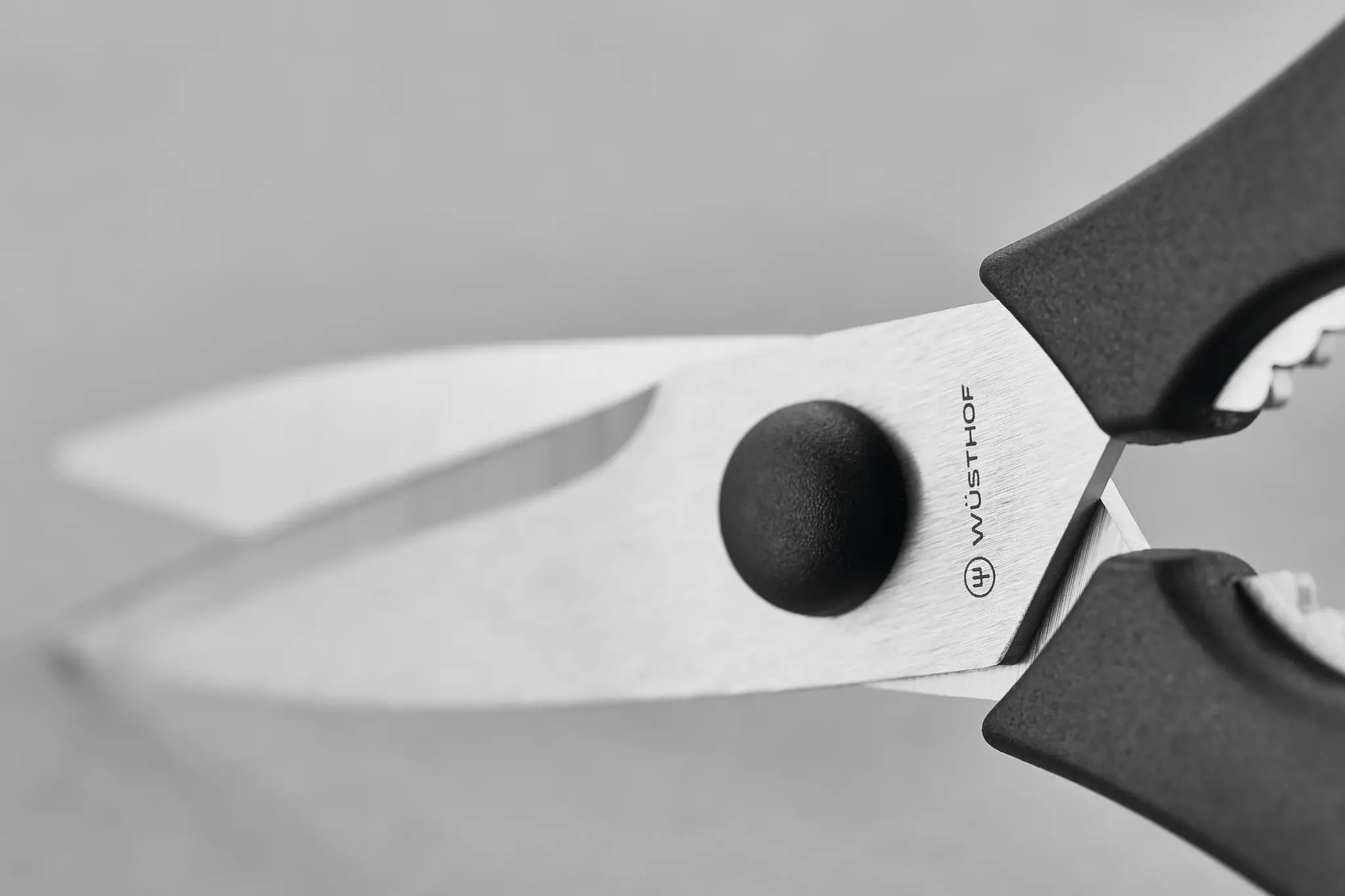 Wusthof Shears Black Come Apart