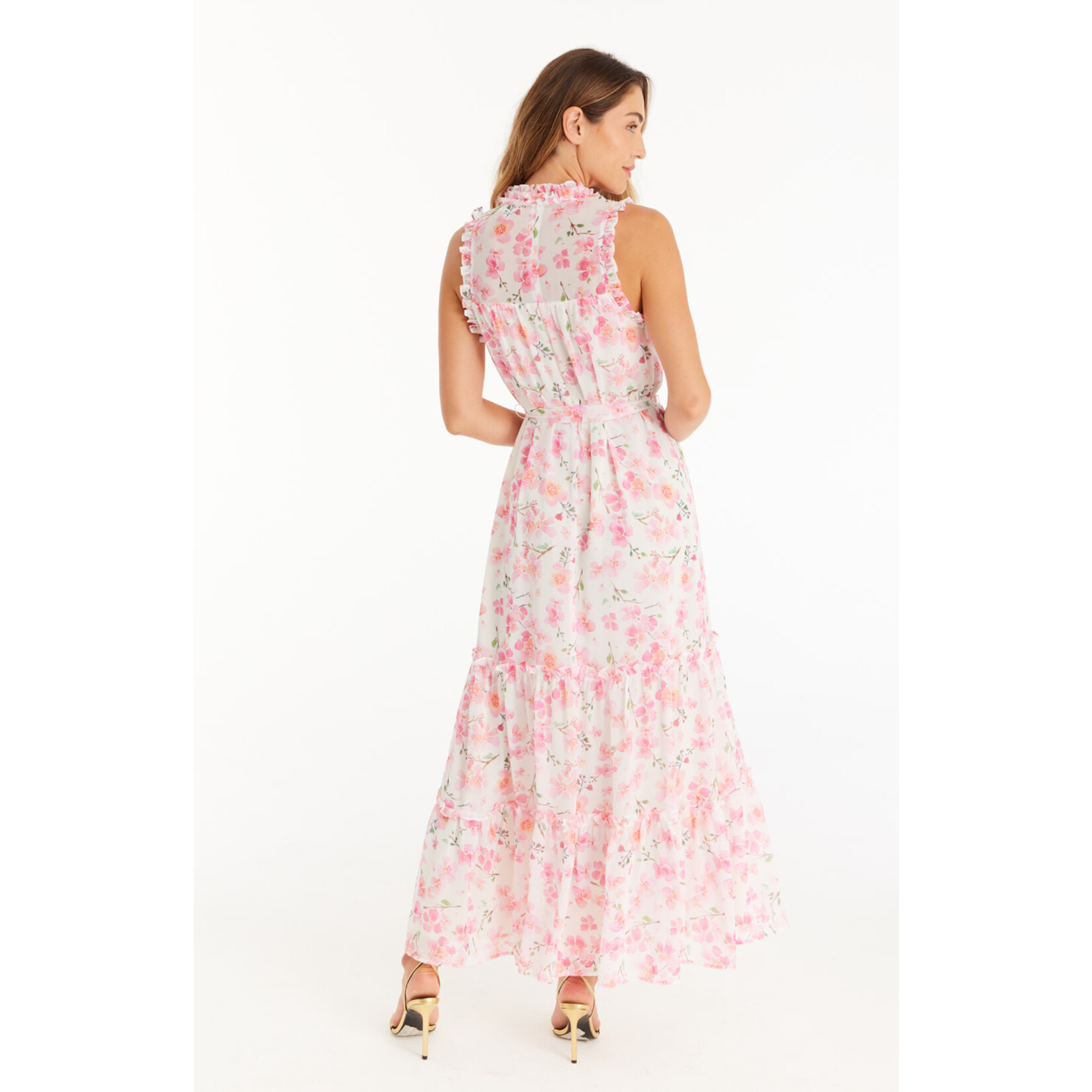 Allison NY Estelle Maxi Dress