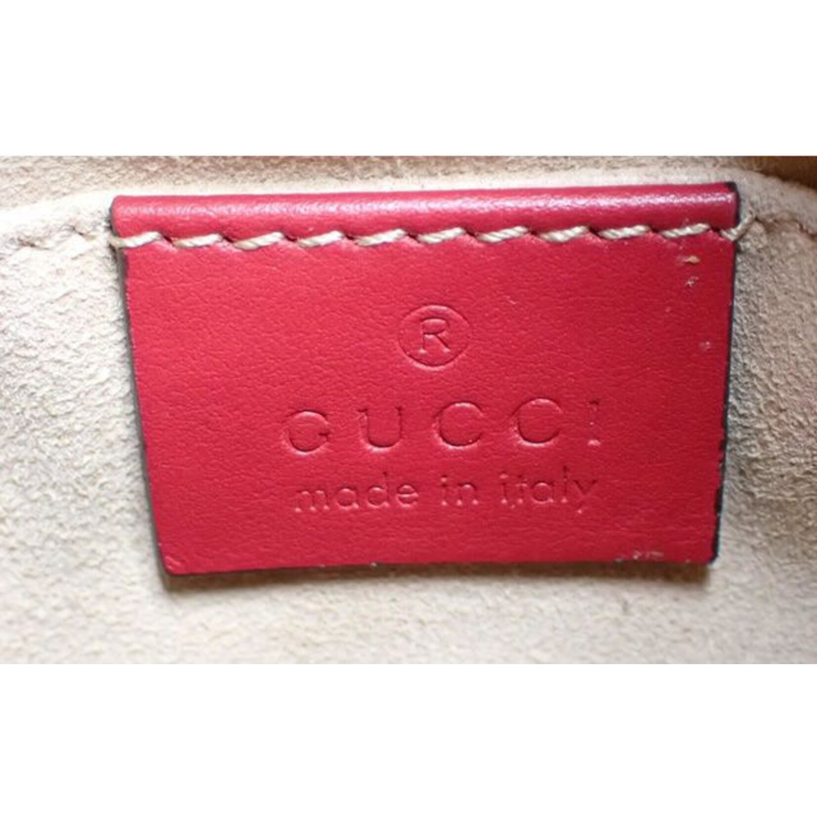  GUCCI Dionysus Red Small handbag Leather Bag Italy NEW wristlet  : Clothing, Shoes & Jewelry