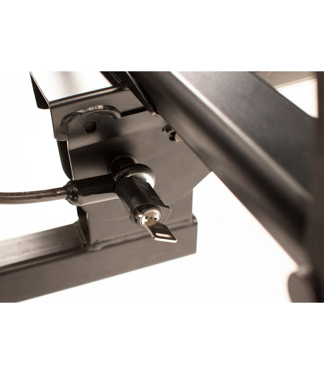 RockyMounts Porte-vélo Monorail