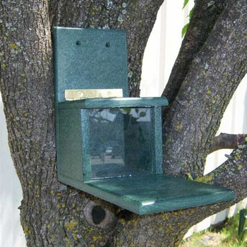 FEEDERS SONGBIRD ESSENTIALS RECYCLED  SQUIRRELS ONLY FDR