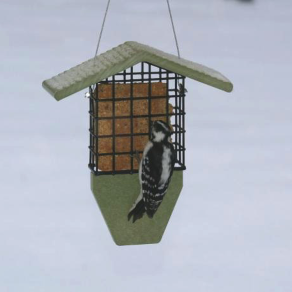 FEEDERS BIRDS CHOICE RECYCLED GREEN SOLUTIONS SUET FEEDER